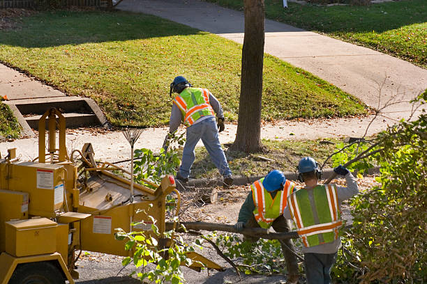 Best Landscape Design and Installation  in Reedsburg, WI